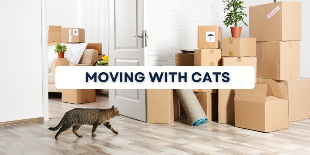 moving with cats