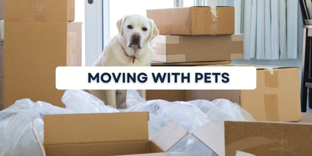 moving with pets