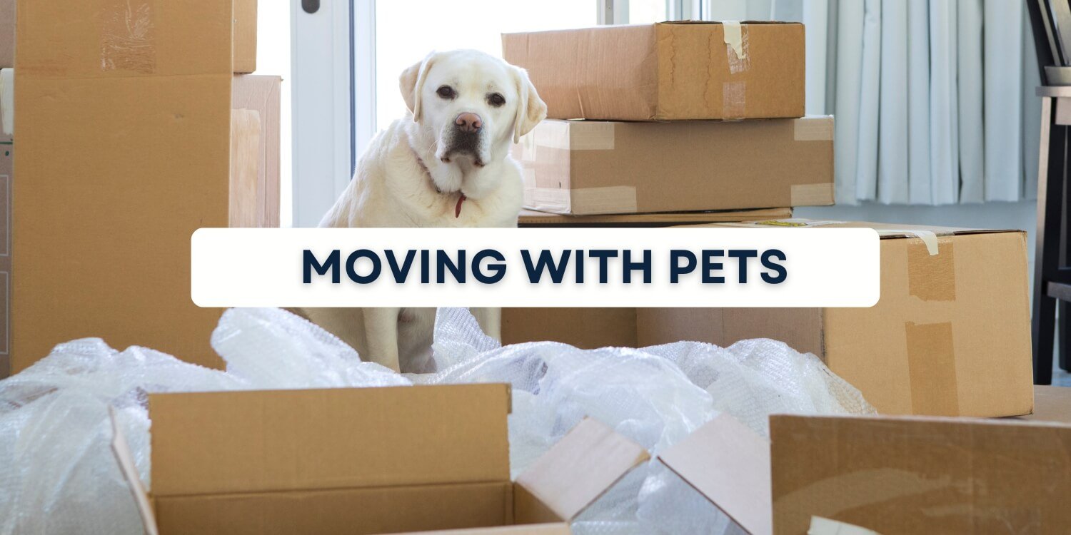 moving with pets