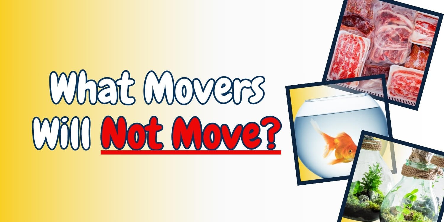 what will movers not move​